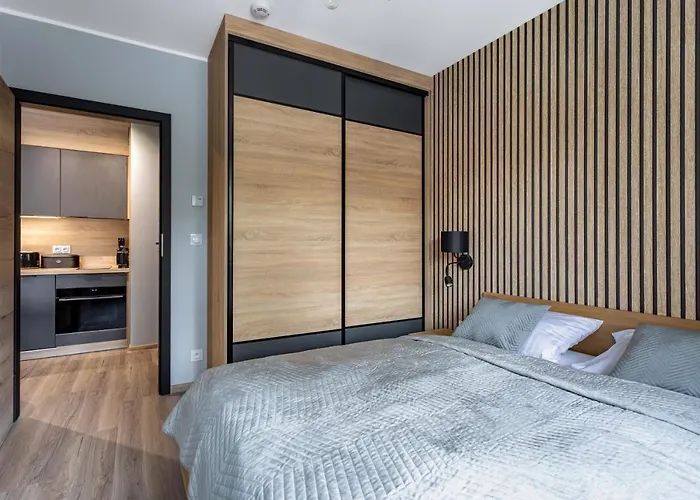 Apartament Stone Hill Wellness Z Basenem Jakuzi Saunami Prywatnym Garażem I Rowerami W Cenie *