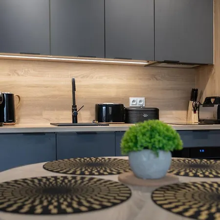 Apartamento Stone Hill Wellness Z Basenem Jakuzi Saunami Prywatnym Garazem I Rowerami W Cenie