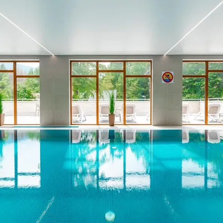 Stone Hill Wellness Z Basenem Jakuzi Saunami Prywatnym Garazem I Rowerami W Cenie Apartamento Szklarska Poręba