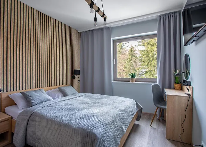 Stone Hill Wellness Z Basenem Jakuzi Saunami Prywatnym Garazem I Rowerami W Cenie Szklarska Poręba