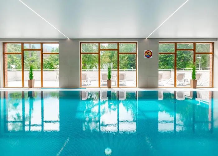 Stone Hill Wellness Z Basenem Jakuzi Saunami Prywatnym Garazem I Rowerami W Cenie Apartamento Szklarska Poręba